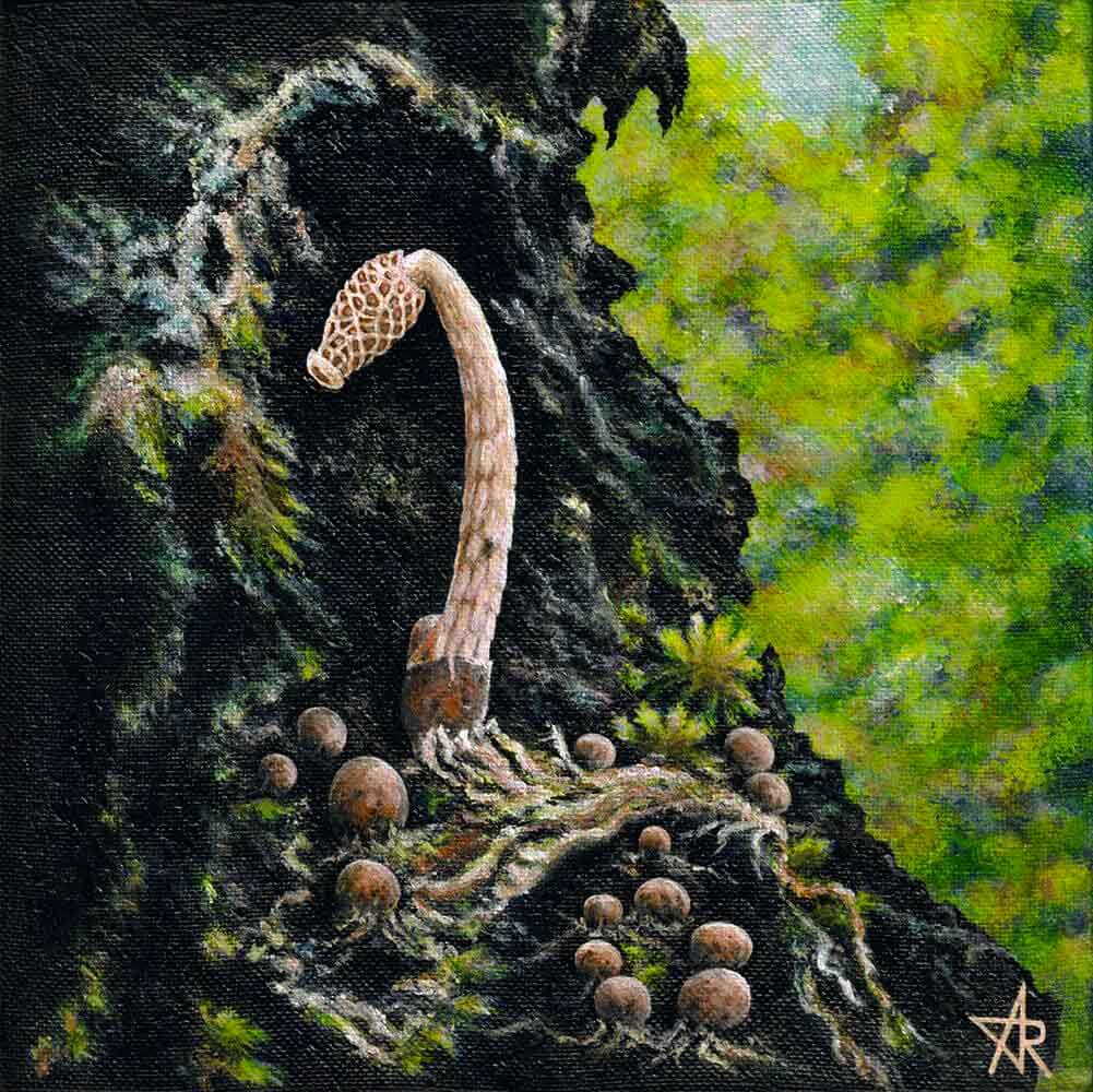 Drewes fungus (Phallus drewesii Desjardin & B.A. Perry) 2023. Canvas, acrylic. 20x20 cm